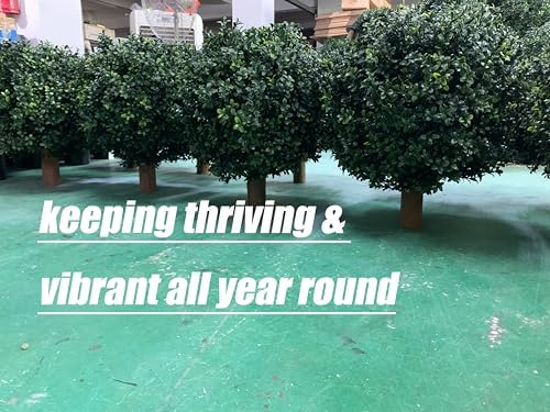 27 Boxwood Ball Bush UV Resistant