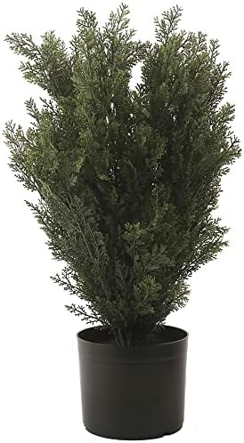 Realistic Cedar Topiary for Front Porch