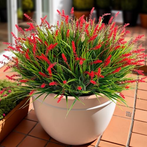Natural Greenery Outdoor