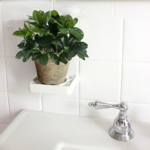 Realistic-Smelling Indoor Outdoor Schefflera Fakes