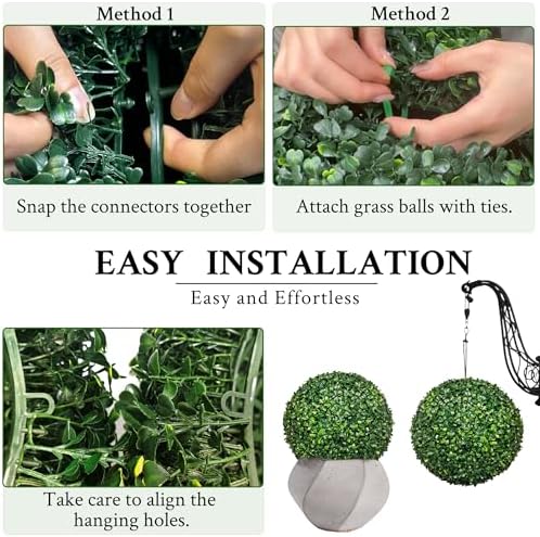 Distinct Boxwood Topiaries for Backup