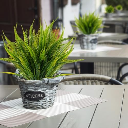 12 Boston Fern Bundles Outdoor