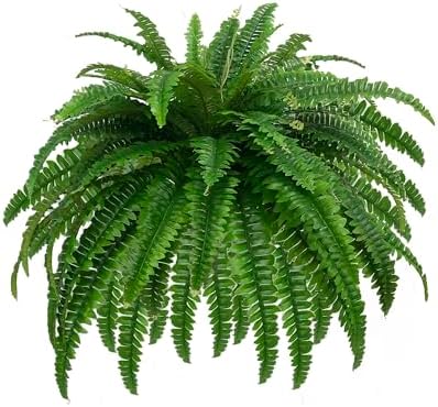 Large Fake Boston Fern with 88 Branches