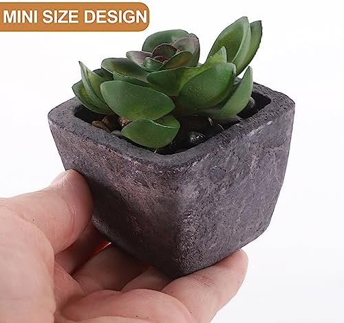 2PCS Fake Succulents Miniature Potted Succulents