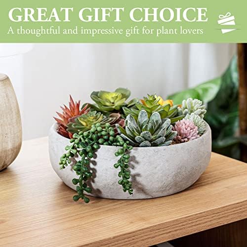 Modern 8-Inch Succulent Arrangement