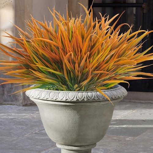 Vivid Fall Outdoor Plants