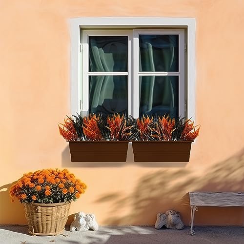 SNAIL GARDEN 12-Piece Halloween Orange Black Boston Fern