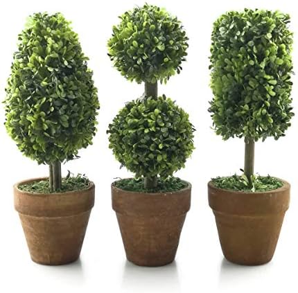 Adorable Small Topiaries Set for Home Dcor