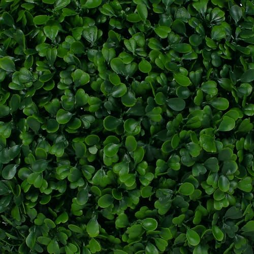 Extra-Large Boxwood Ball Tree