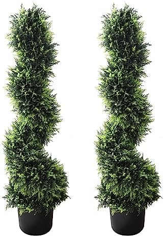 Stylish Cedar Spiral Topiary Set