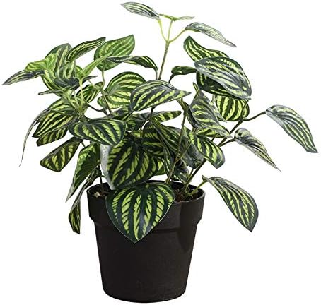 Realistic Fake Watermelon Leaves Plant
