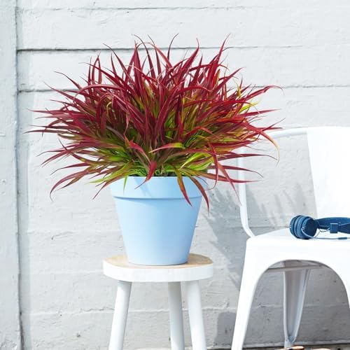 Uieke Fake Greenery Deep Red Outdoor Plants