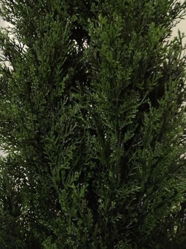 Match the DCF - 4 Outdoor Artificial Cedar Topiary Pack of 2