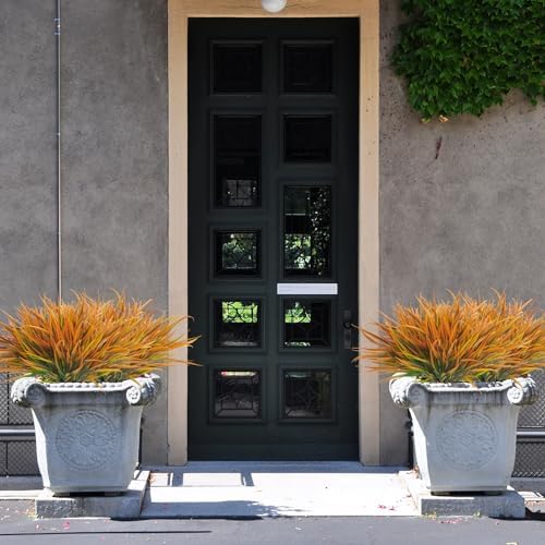 Vivid Fall Outdoor Plants