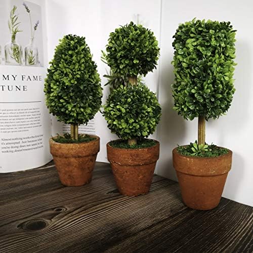 Adorable Small Topiaries Set for Home Dcor