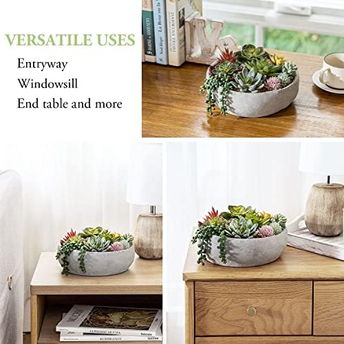 Modern 8-Inch Succulent Arrangement