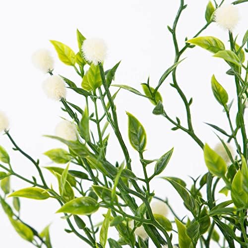 Factory Direct Craft Cream Tea Leaf Bush