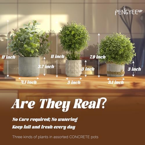 3 Pack Small Artificial Boxwood Topiary Trees for Home Outdoor Use