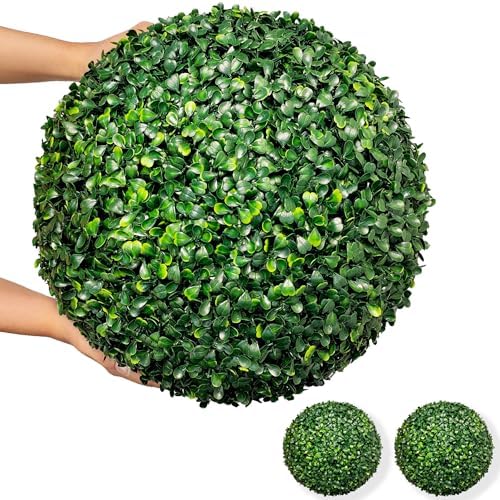 Distinct Boxwood Topiaries for Backup