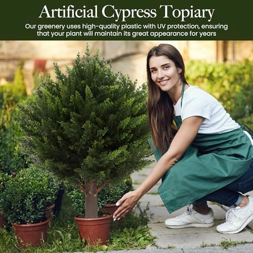 Transform Your Space with Realistic Cypress Topiaries