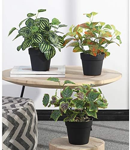 Realistic Fake Watermelon Leaves Plant