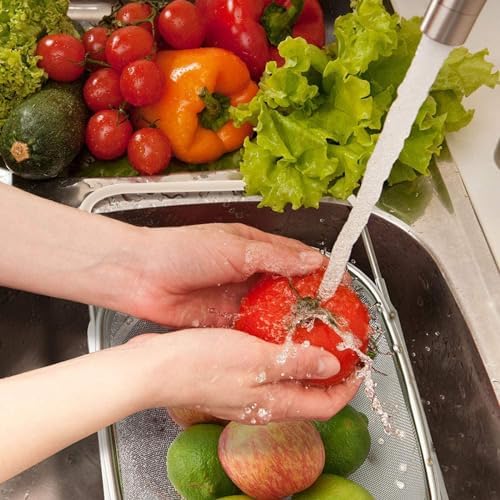 6 Quarts Stainless Steel Colander with Expandable Handle