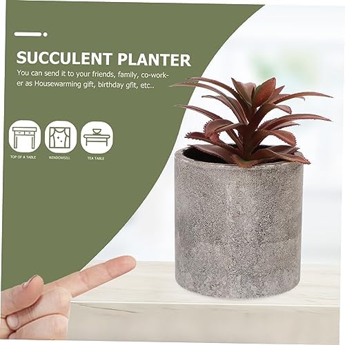 6-Piece Fake Bonsai Plants for Indoor Use