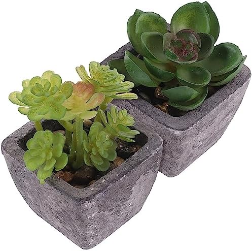 2PCS Fake Succulents Miniature Potted Succulents