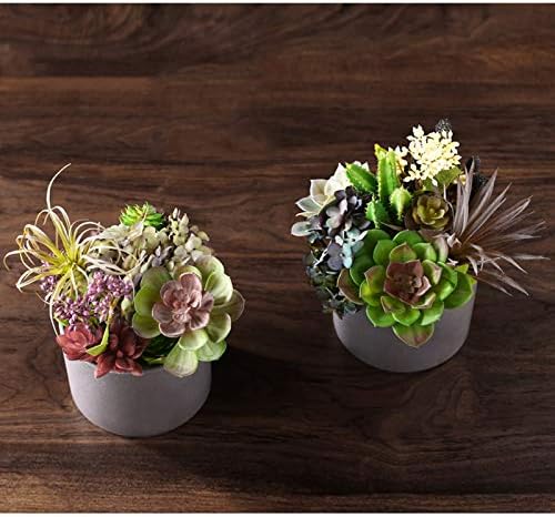 Modern Fake Succulents in Gray
