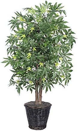 Vickerman 4-Foot Artificial Japanese Maple Bush in Rattan Basket Green