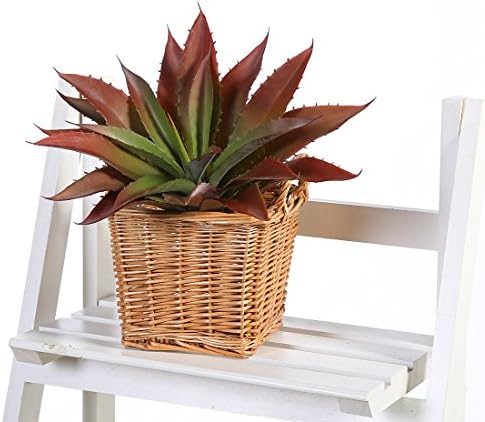 HUGE FAKE ALOE SUCCULENTS HOME DECOR EASY CARE