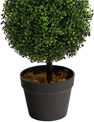 NearNat Boxwood Trio Topiary