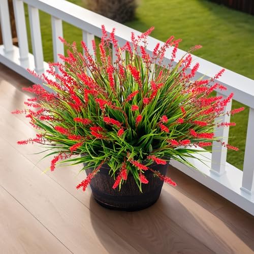 Natural Greenery Outdoor