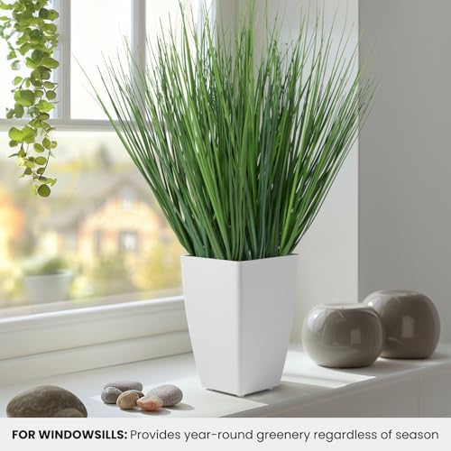 Stunning Fake Grass Plant
