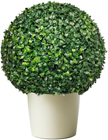 Distinct Boxwood Topiaries for Backup