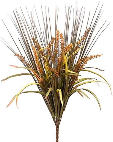 Stunning Rattail Grass Bush x12 -ure 12 Set