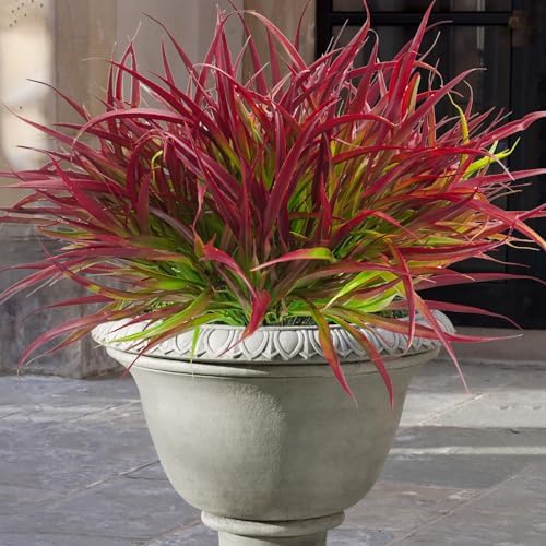 Uieke Fake Greenery Deep Red Outdoor Plants