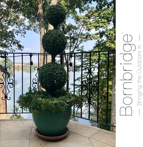 Extra-Large Boxwood Ball Tree