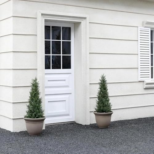 Beautiful Realistic 3-Foot Cedar Tree
