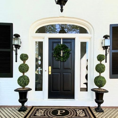 Extra-Large Boxwood Ball Tree