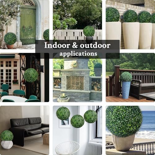 Distinct Boxwood Topiaries for Backup