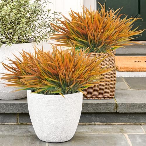 Vivid Fall Outdoor Plants