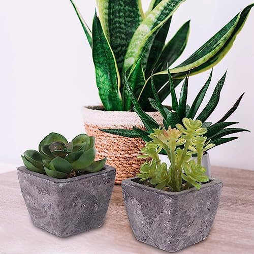 2PCS Fake Succulents Miniature Potted Succulents