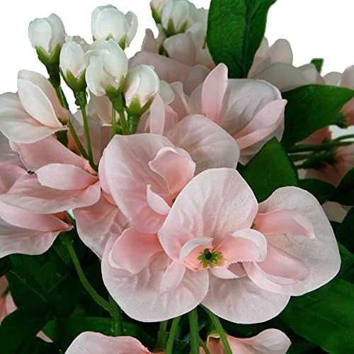 Ashland Pink Wisteria Bush 25x15x25 1Bush