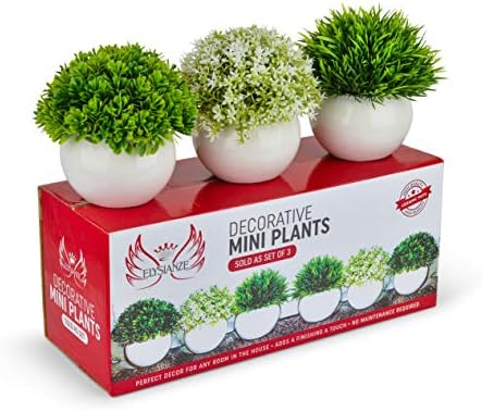 Add a Touch of Greenery to Your Space