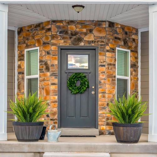 12 Boston Fern Bundles Outdoor