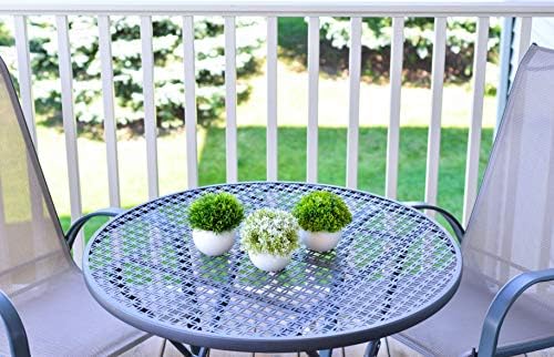 Add a Touch of Greenery to Your Space