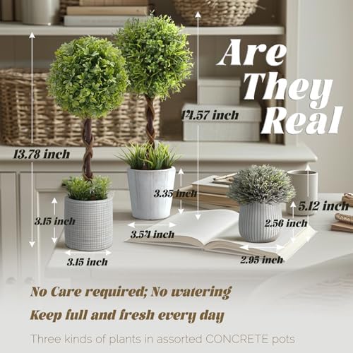 Sturdy Boxwood Topiaries Decor 3-Pack