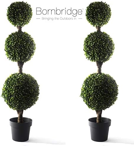 Extra-Large Boxwood Ball Tree