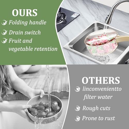 Efficient 2-in-1 Fruit Washer